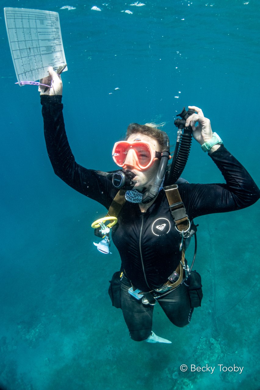 PADI open water instructor